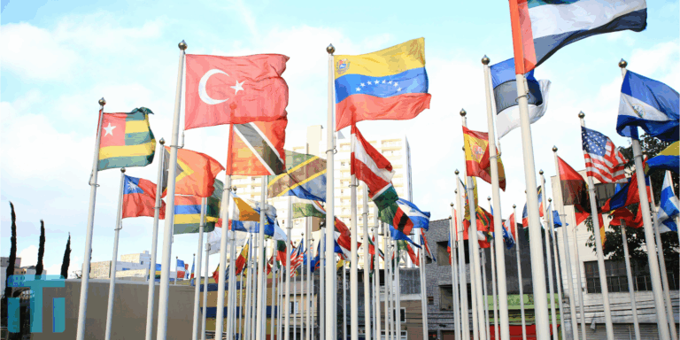 Start Your U.S. Business with Tavola International